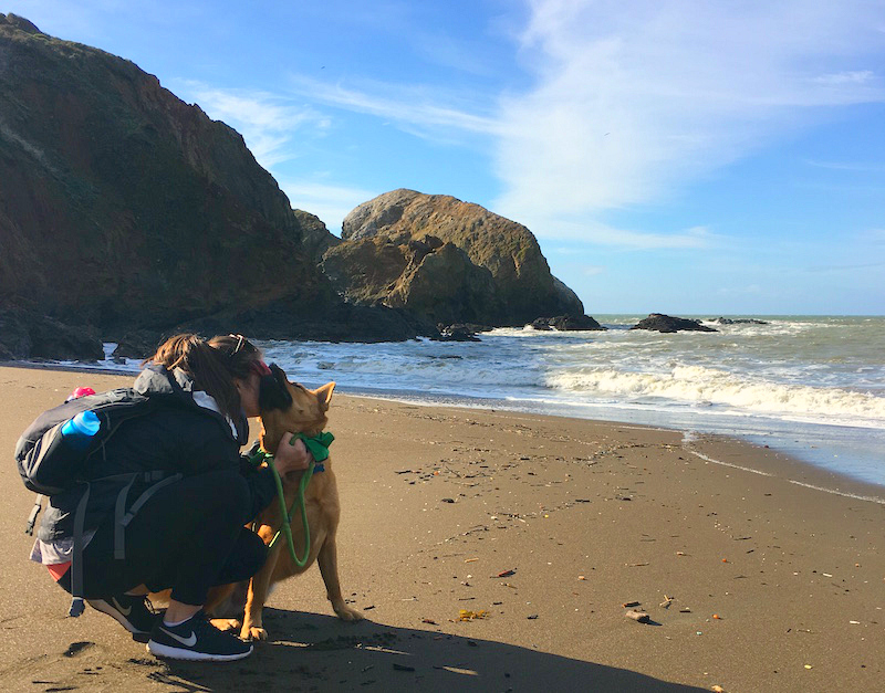 7 Beautiful Dog-Friendly Hikes in the Bay Area