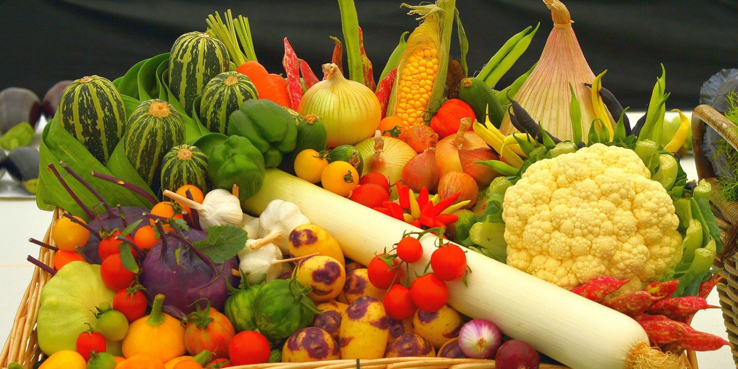 5-highly-recommended-vegetarian-restaurants-in-nyc