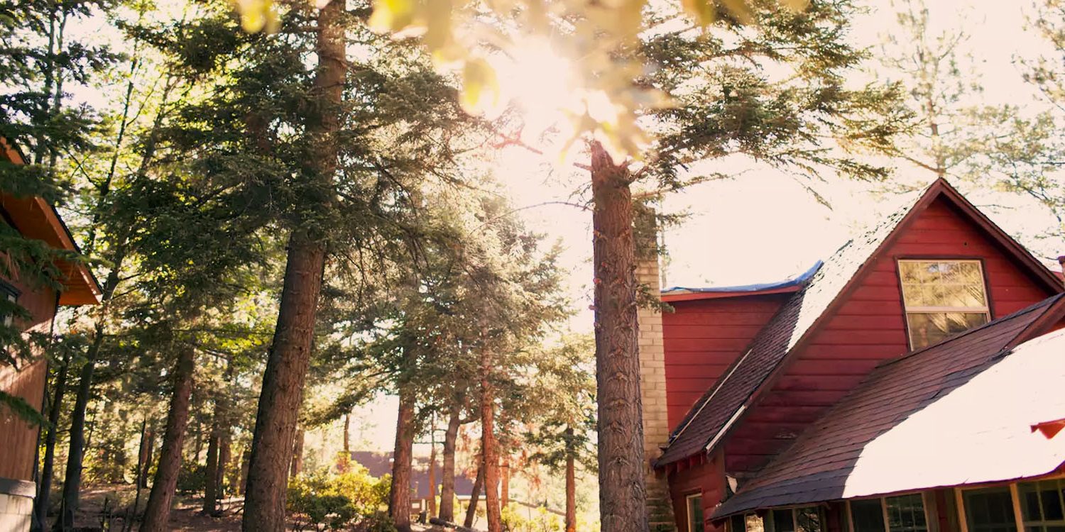 8 Cozy Cabins For Plotting Your Winter Escape