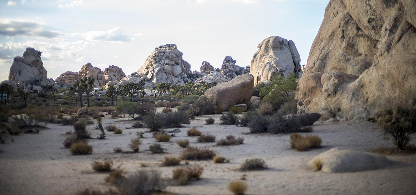 16 Incredible Desert Hikes In Joshua Tree