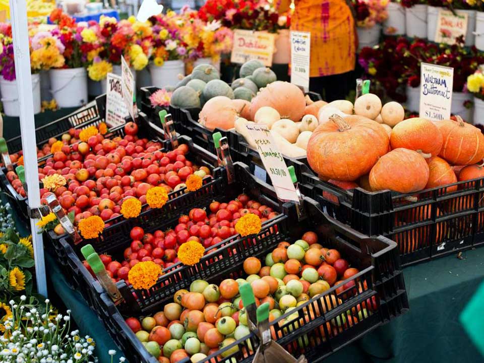 Freshly Oakland 7 Farmers Markets For Your Daily Dose Of Fruit & Veg