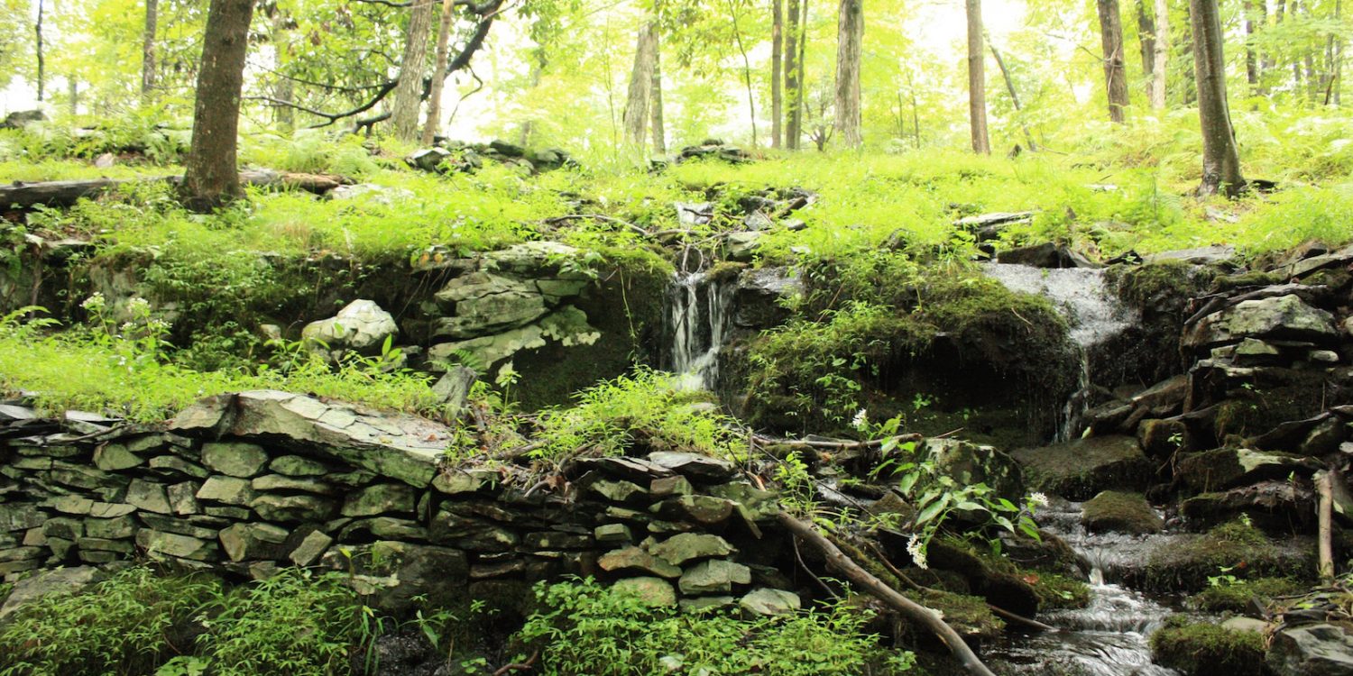 7 Hikes Near Nyc How To Get There