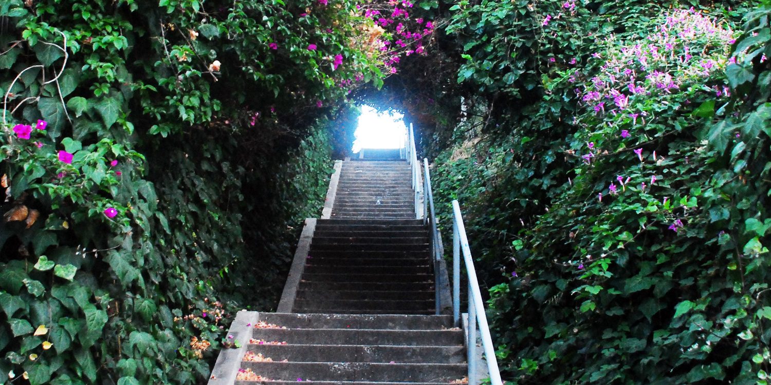 The Bestselling Author of “Secret Stairs” Reveals the Top