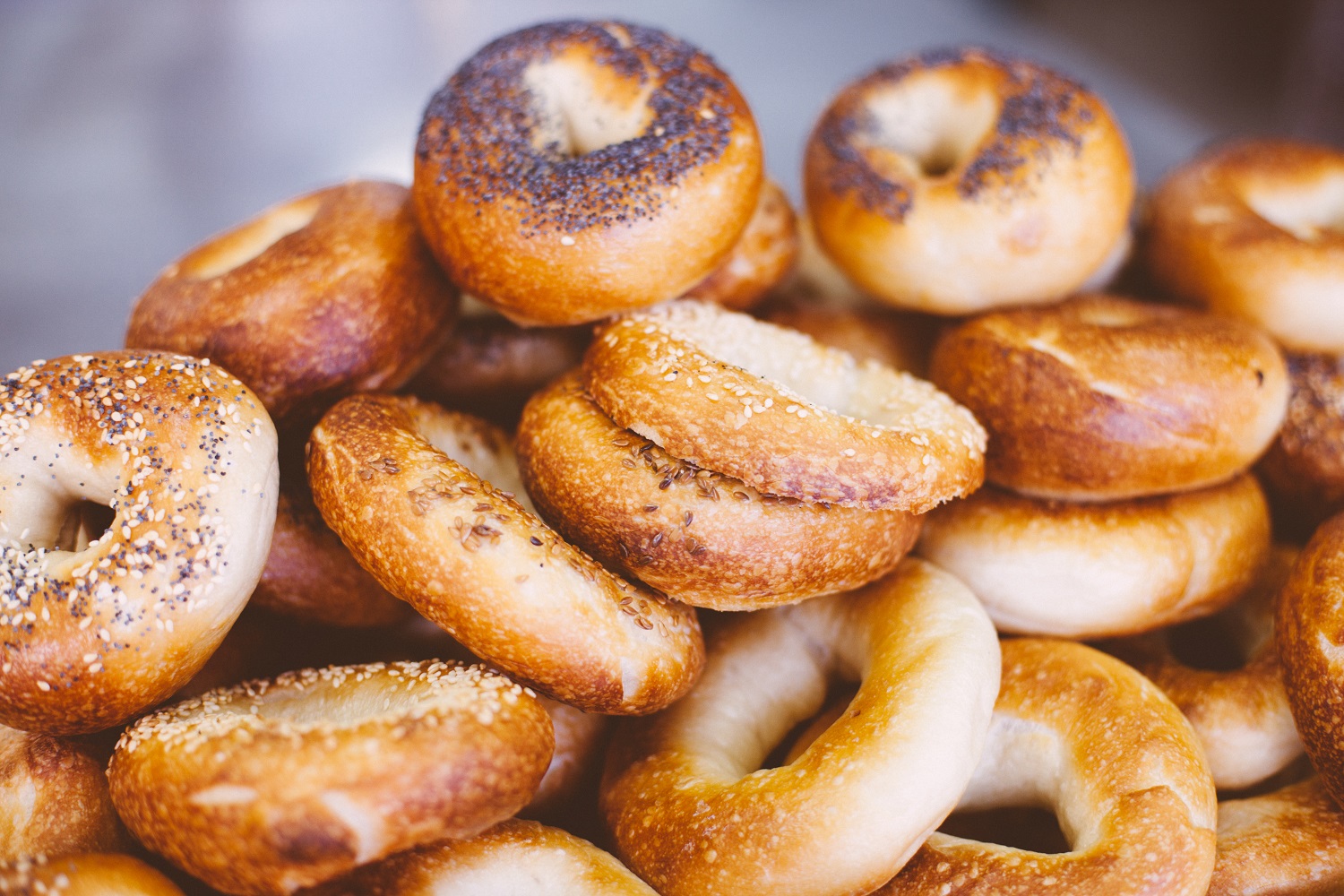 the-top-5-best-bagel-shops-in-new-york-city-eventbrite