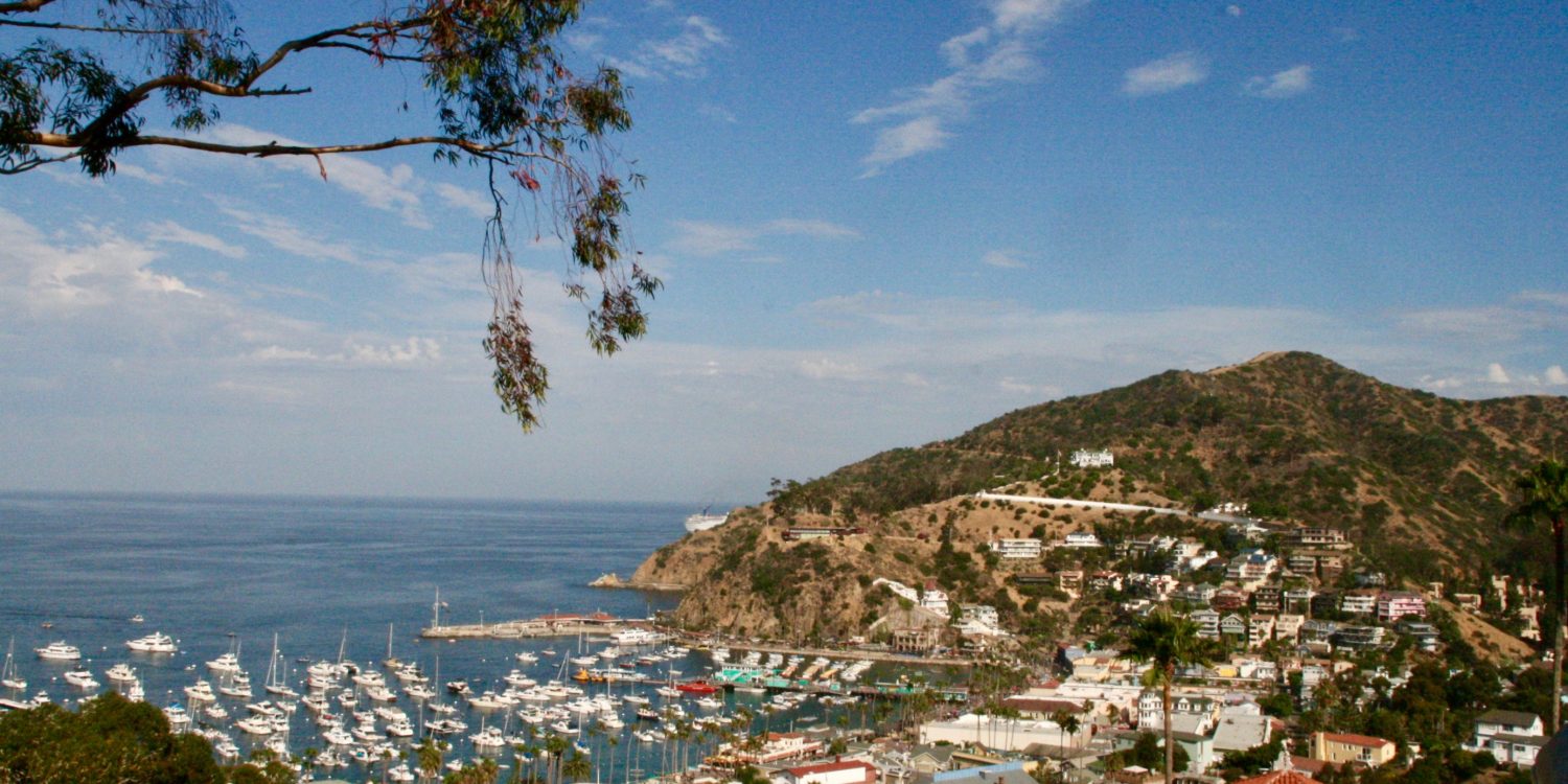 Catalina island