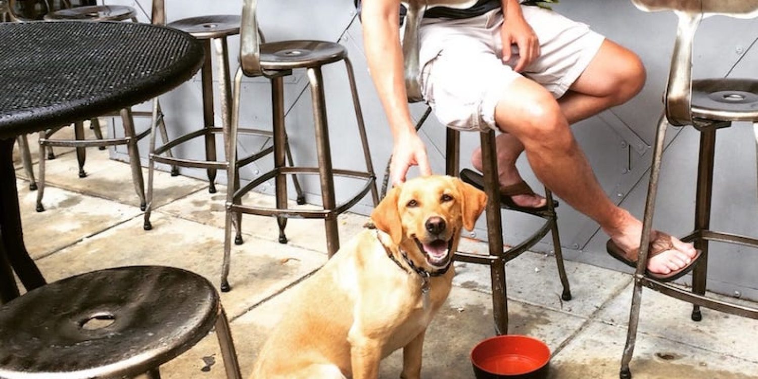 Woof 9 Dog Friendly Restaurants And Bars In Atlanta