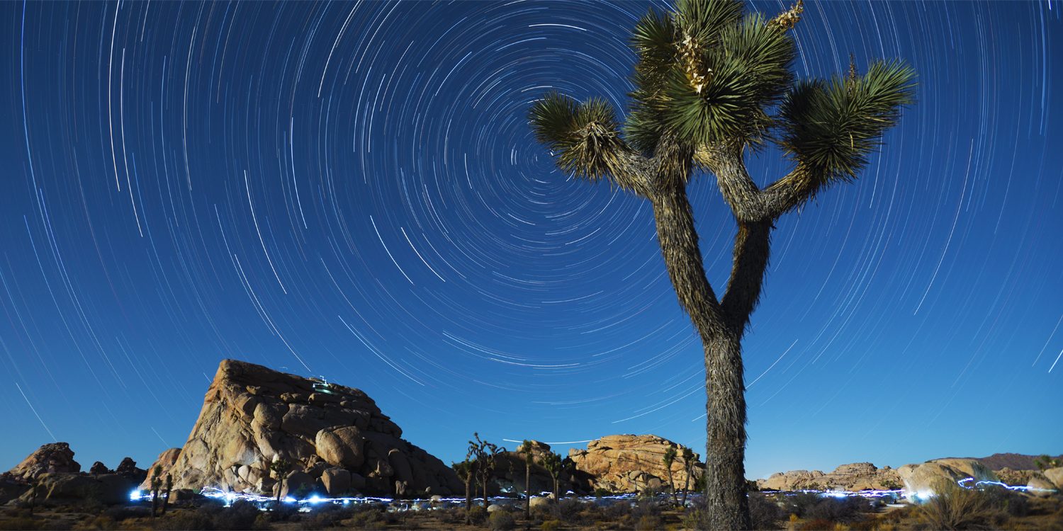 8 Joshua Tree Camping Sites For Seeing A Starry Night