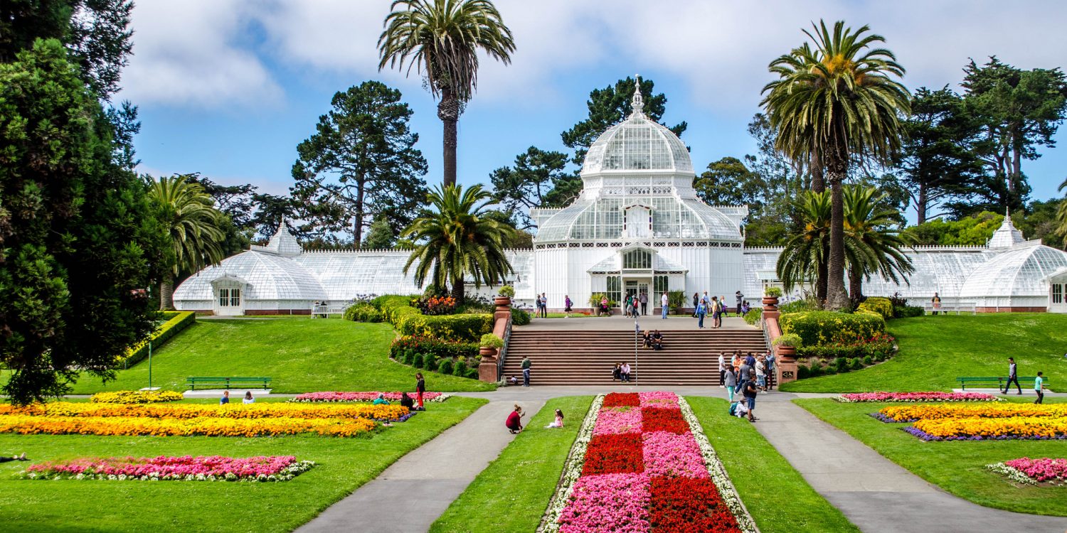 unexpected golden gate park activities to fill out your bucket list