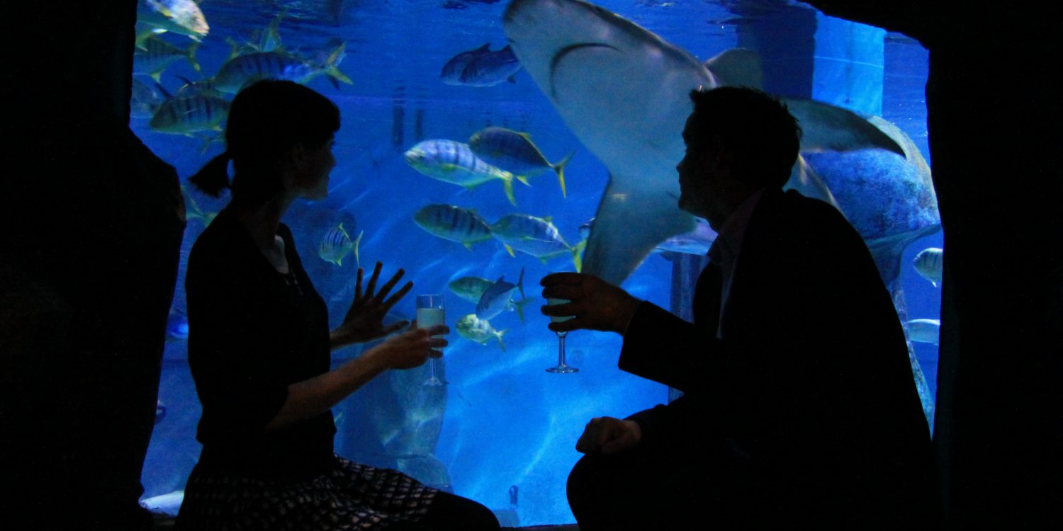 Culture After Hours: 7 ‘Lates’ Worth Staying Out For