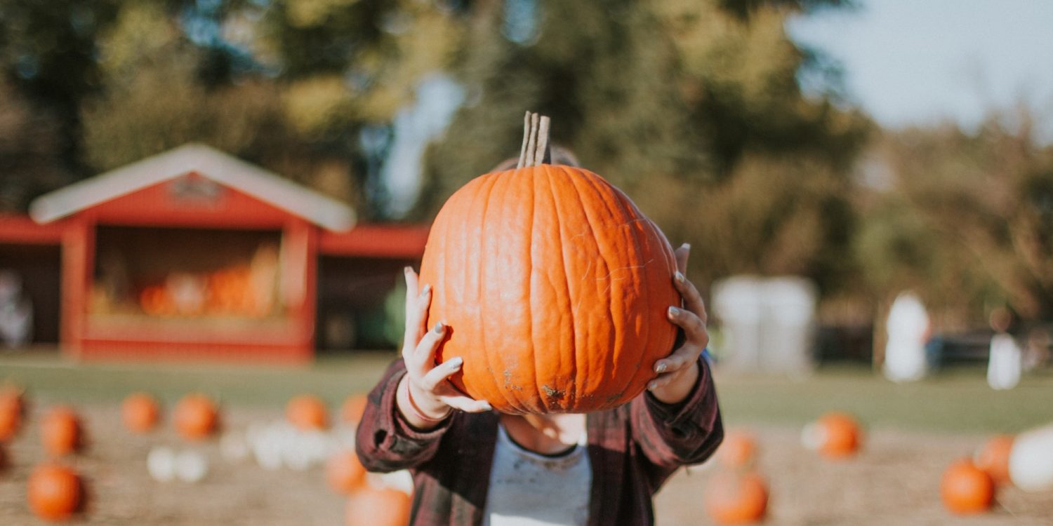 The 7 Best Pumpkin Patches and Corn Mazes Around the Bay