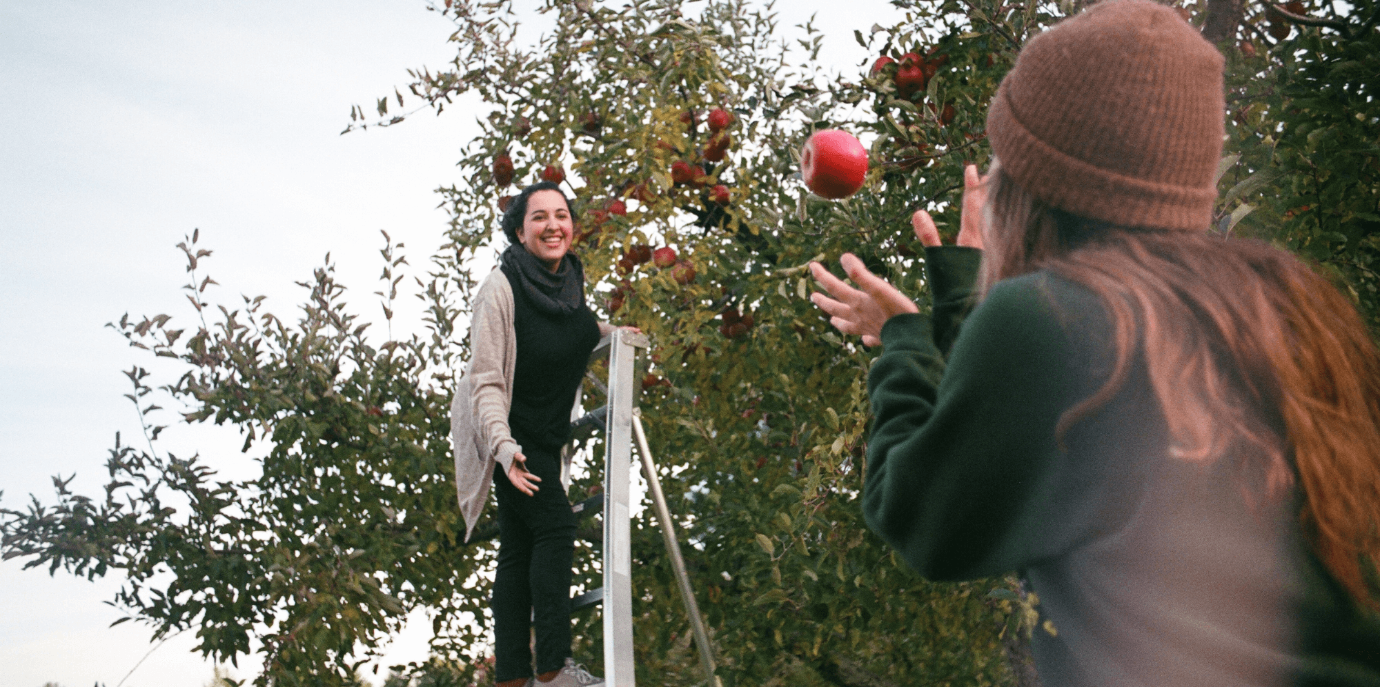5 Places to Go Apple Picking Near NYC (And What to Do ...