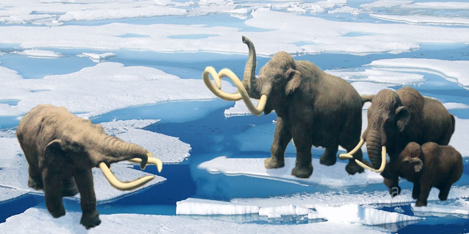 Mammoth News: A Family-Friendly Ice Age Exhibition is ...