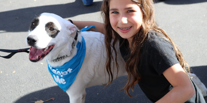 Wags & Walks LA