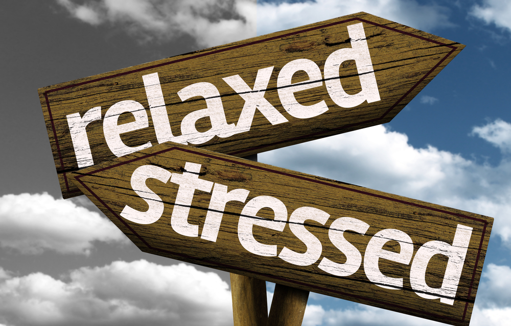 17-eventprofs-share-how-to-stay-calm-and-reduce-stress-before-an-event